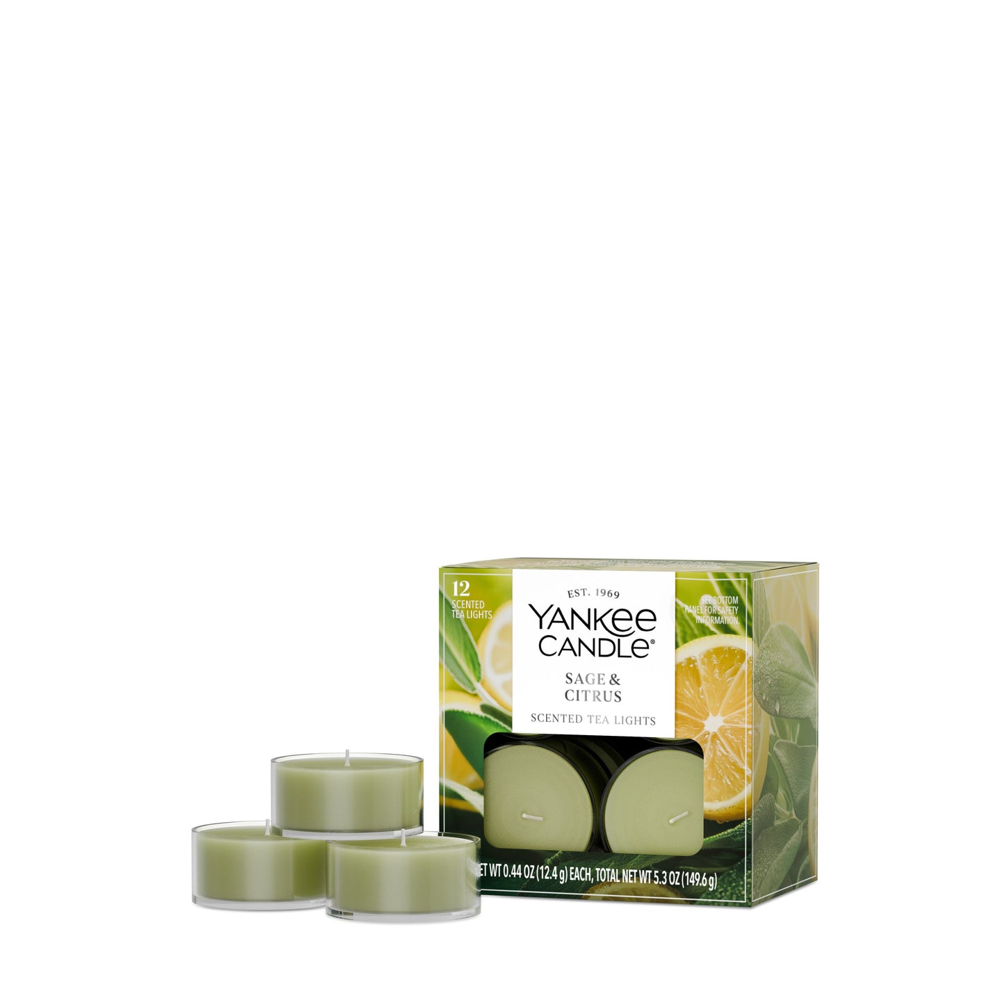Sage & Citrus Studio 1-0335