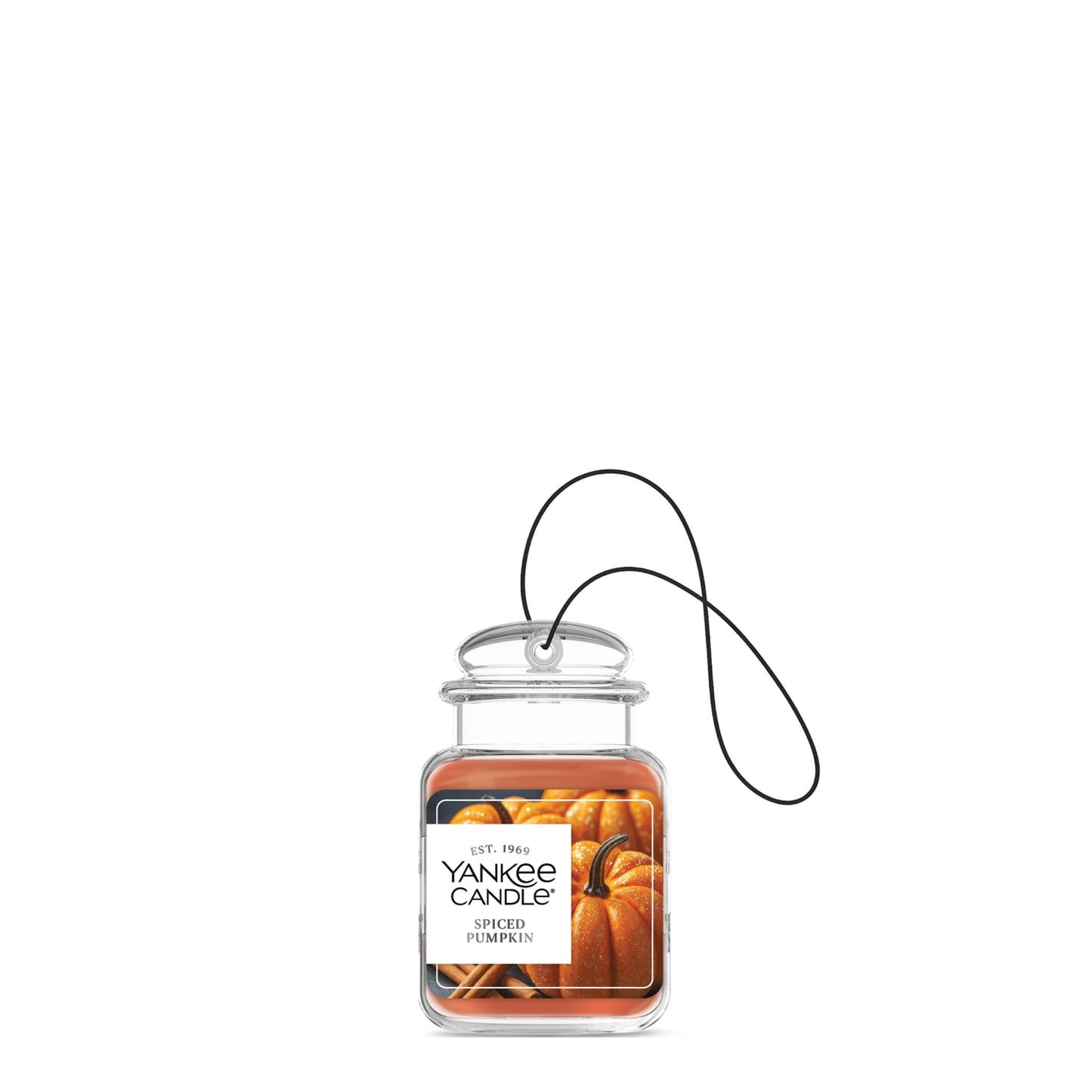 Spiced Pumpkin Daily 1-0777