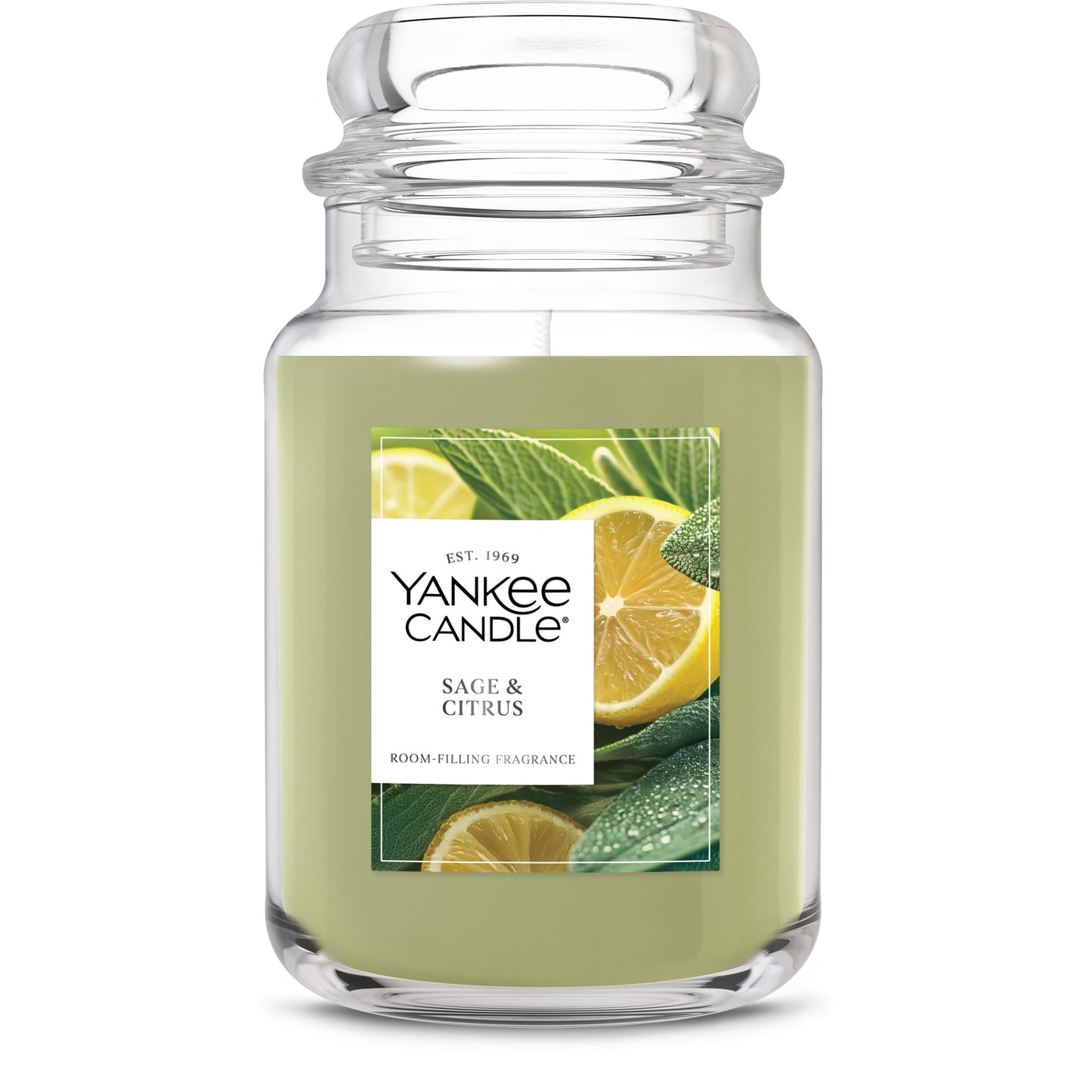 Sage & Citrus Studio 1-0335